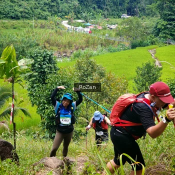 Runner Photo 91478