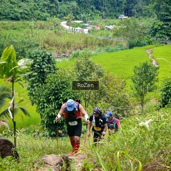 Runner Photo 91495