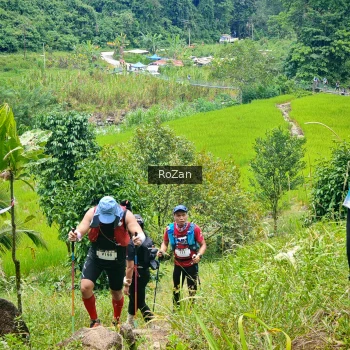 Runner Photo 91501