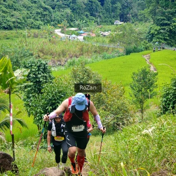 Runner Photo 91511