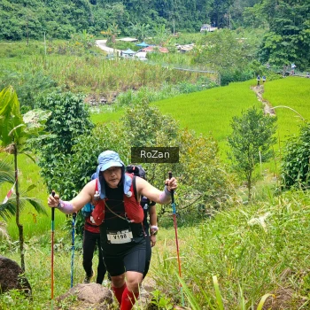 Runner Photo 91513