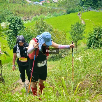 Runner Photo 91519