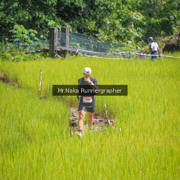 Runner Photo 91520