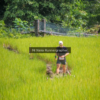 Runner Photo 91534