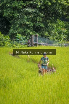 Runner Photo 91578
