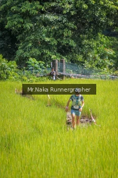 Runner Photo 91585