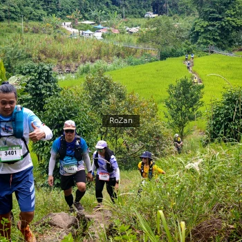 Runner Photo 91660