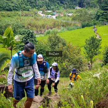 Runner Photo 91662