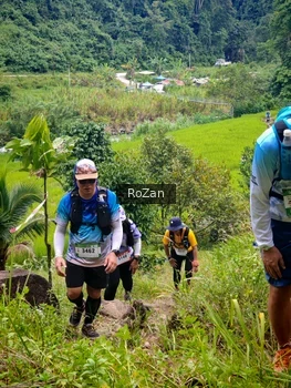 Runner Photo 91668