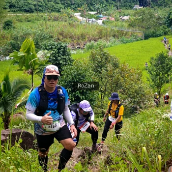 Runner Photo 91671