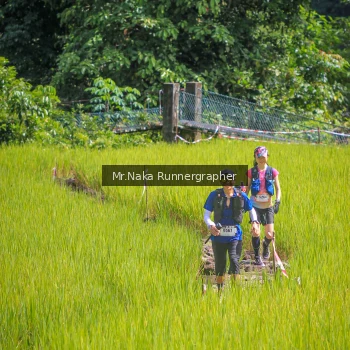 Runner Photo 91685