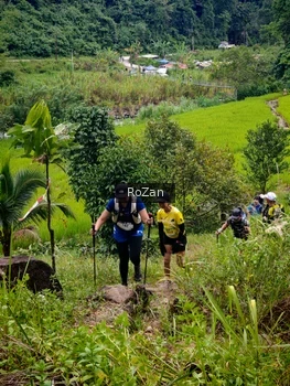 Runner Photo 91708