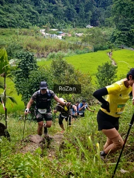 Runner Photo 91733