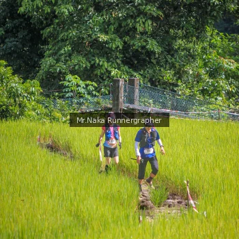Runner Photo 91735