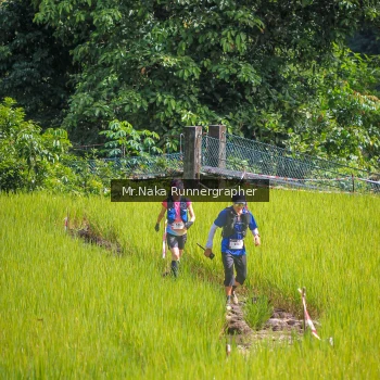 Runner Photo 91743