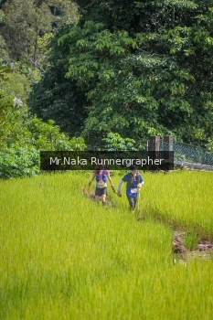 Runner Photo 91750