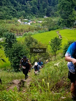 Runner Photo 91774