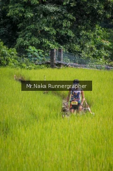 Runner Photo 91869