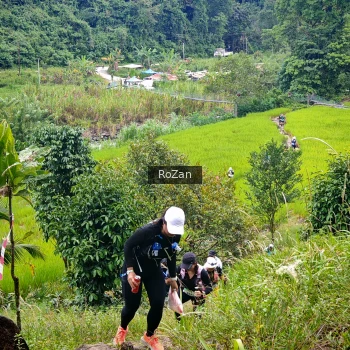 Runner Photo 91882