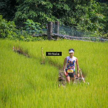 Runner Photo 91900