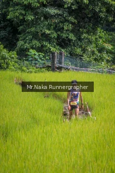Runner Photo 91921