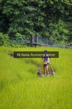 Runner Photo 91935