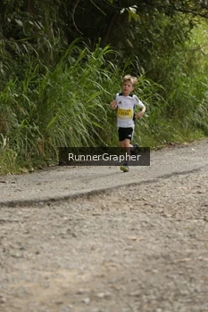 Runner Photo 91985