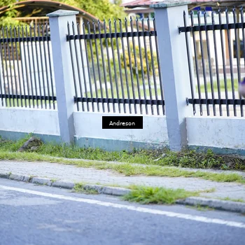 Runner Photo 9202361
