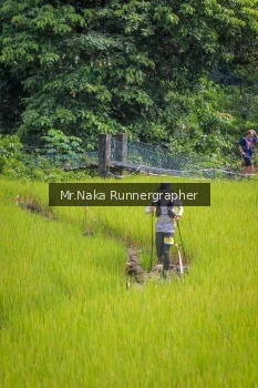 Runner Photo 92043