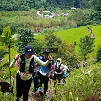Runner Photo 92064