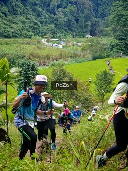 Runner Photo 92081