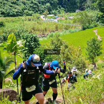 Runner Photo 92260