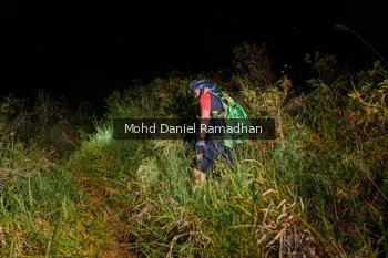 Runner Photo 92349