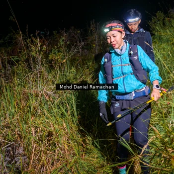 Runner Photo 92372