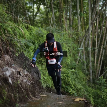 Runner Photo 92441