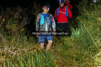 Runner Photo 92447