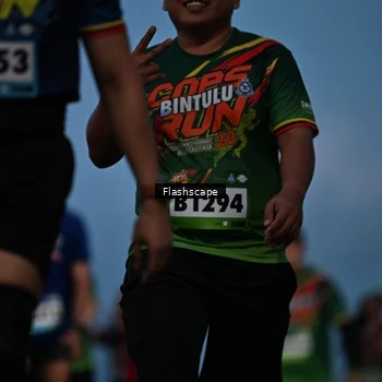 Runner Photo 9247024
