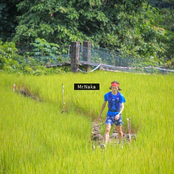 Runner Photo 92474