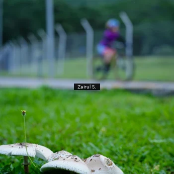 Runner Photo 9249073