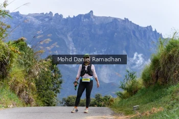 Runner Photo 92535