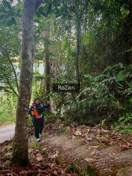 Runner Photo 92640