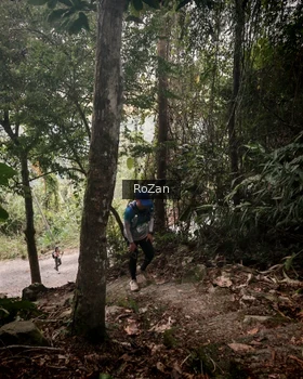 Runner Photo 92649
