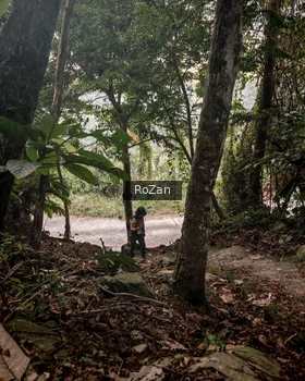 Runner Photo 92659