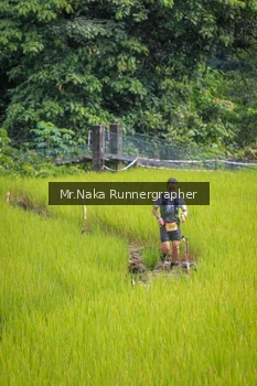 Runner Photo 92661