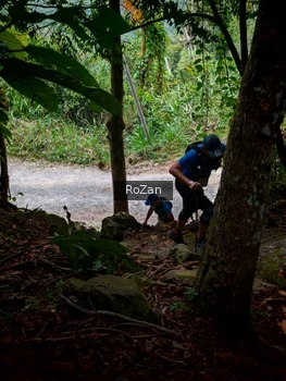 Runner Photo 92748