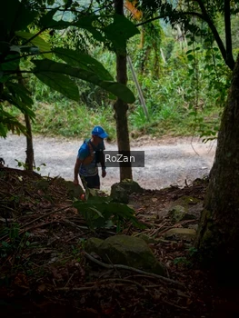 Runner Photo 92765
