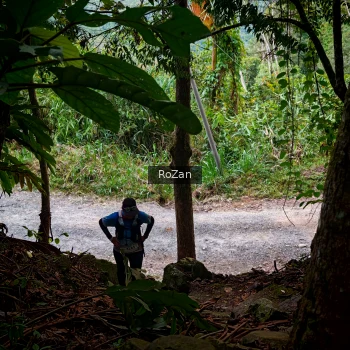 Runner Photo 92790