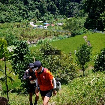 Runner Photo 92907