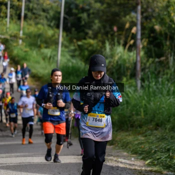 Runner Photo 92969