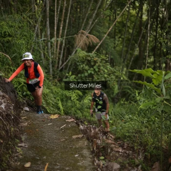 Runner Photo 93062